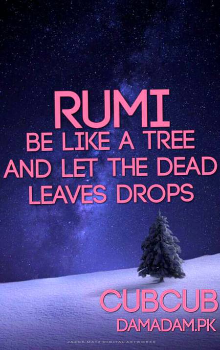 RUMI'S WORDS