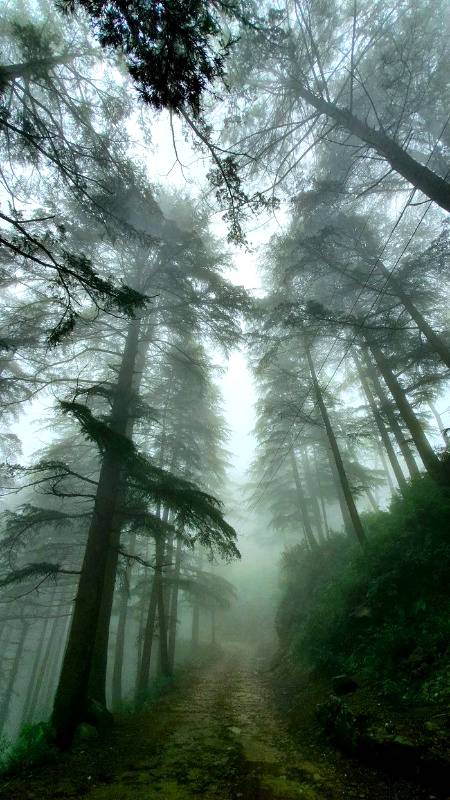 What does this make you feel