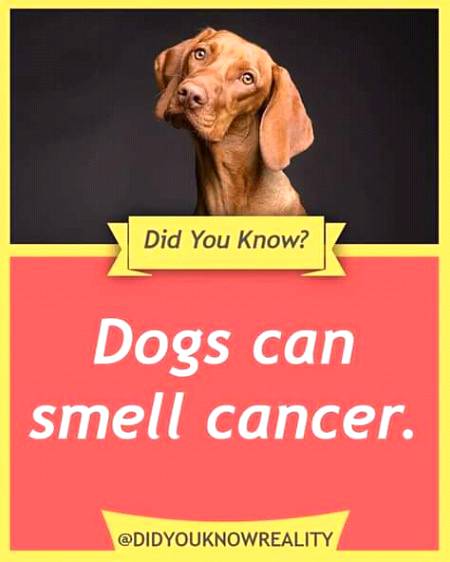 Do you know??