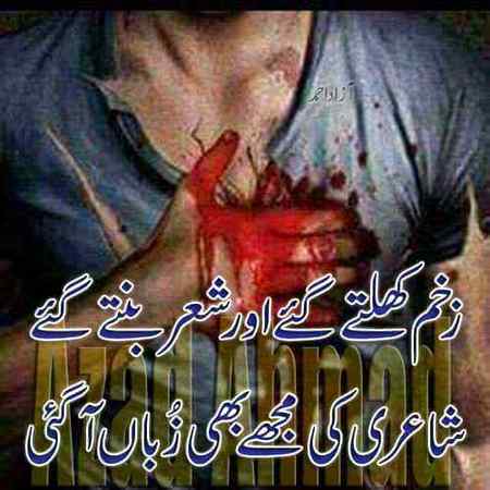 - وہ شاعر ہوتے ہیں جو شاعری کرتے ہیں ہم تو بدنام سے لوگ ہیں صرف درد لکھتے ہیں