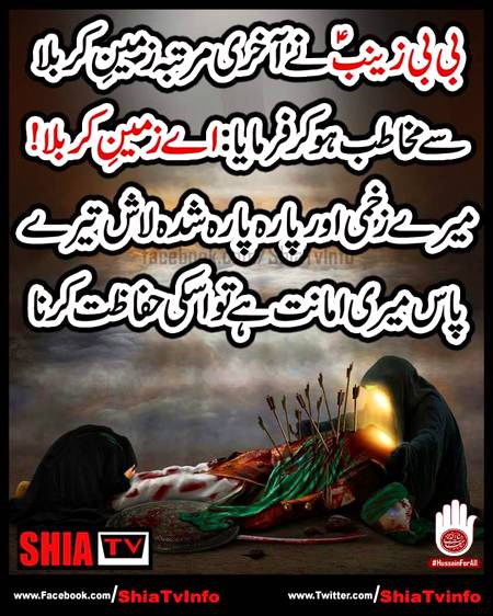 بی بی زینبؑ نے آخری مرتبہ زمینِ کربلا سے مخاطب ہو کر فرمایا:اے زمینِ کربلا ! میرے زخمی اور پارہ پارہ شدہ لاش تیرے پاس میری امانت ہےتو اسکی حفاظت کرنا