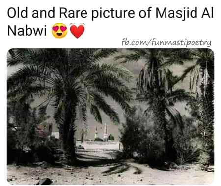 __😍😍😍😍❤️__