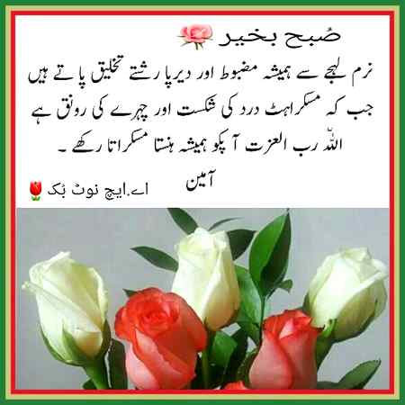 Assalam o Alaikum All 🌹🌹🌱🏵️🌷🌷🌸
