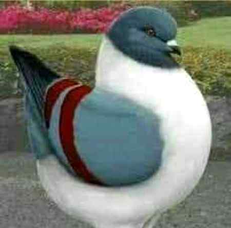 @@ssss@@