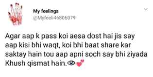 Achy dost kismt vlo ko mlty