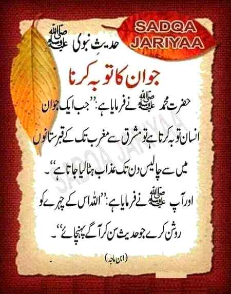 Hlo friends