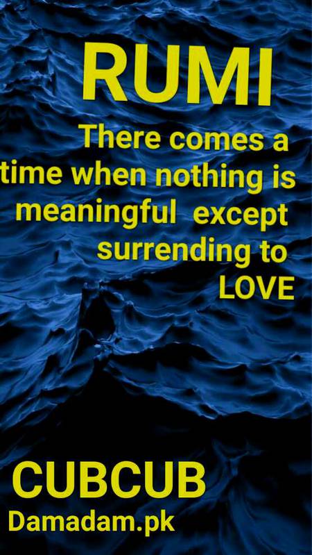RUMI'S WORDS