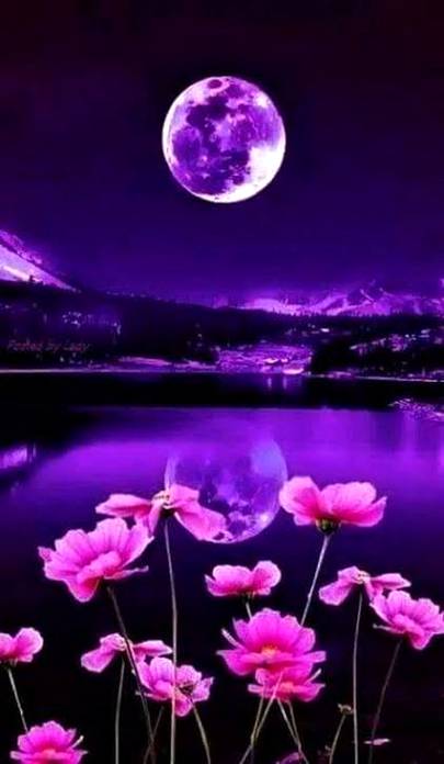 Wallpaper...☺