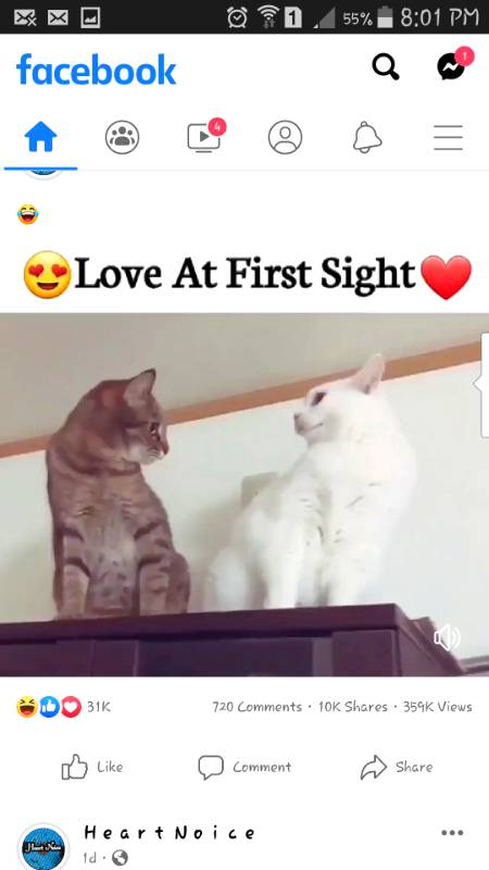 Woooo amzing love
