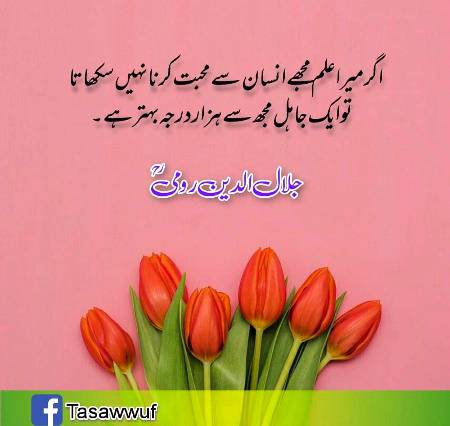 🌹🌹🌹صلی اللہ علی حبیبہ محمد نور من نوراللہ وعلی آلہ واہل بیتہ وعترتہ وازواجہ وصحبہ وجدہ وذریتہ و کل امتہ وبارک وسلم کثیراً کثیرا و دائماً ابدا 🌹🌹🌹