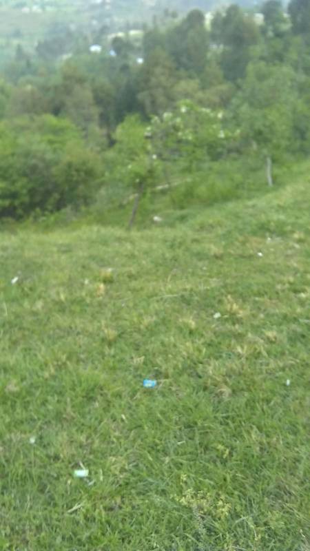 Asslam o alikum kise ho