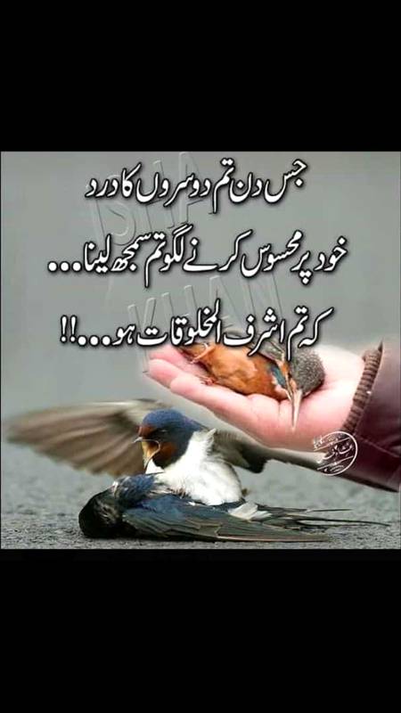 دوسروں کا درد سمجھنے کے لیے بھی دل چاہیئے