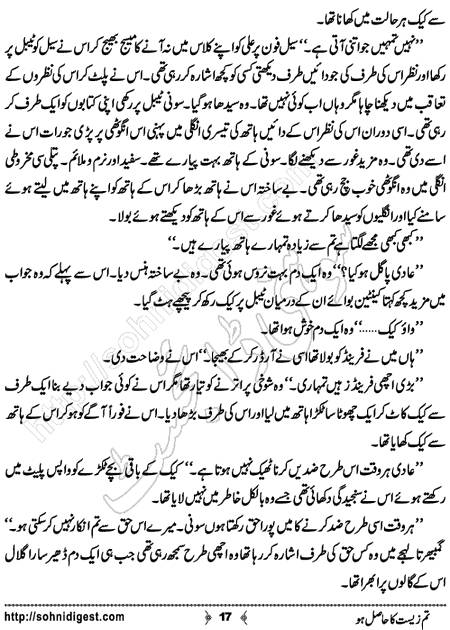 Title = "Tum zeest ka hasil ho"
Page = 17