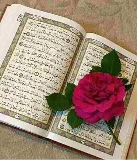 میرے رب کے خوبصورت ناموں میں سے اک نام یہ بھی ہے?
الجّبار۔۔۔❤
ترجمہ : ٹوٹے دلوں کو جوڑنے والا❤️😊