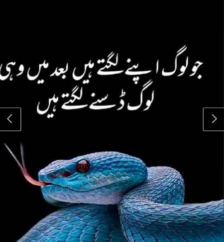 Fake people inside😑