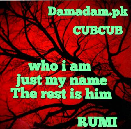 Rumi's words