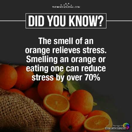 DID YOU KNOW??