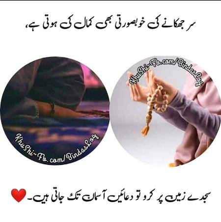 💯.. beshak