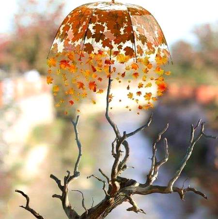 دنیا بھر میں صرف ایک شجر ھے جو بہار میں نہیں صرف خزاں میں اپنے جوبن پر آتا ھے اور وہ ھے آتشِ عشق میں جلنے والا چنار..