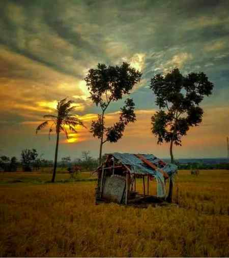 کوئی کیسے کھنچا چلا آتا ہے چھاؤں میں
سچ پوچھو تو ان پیڑوں کو جادو آتے ہیں