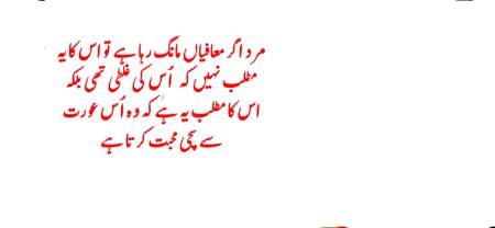 جو بھی کہوں گا  سچ کہوں گا سچ کے سوا کچھ نہیں  کہوں گا