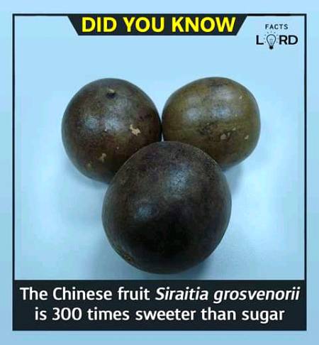 Unbelievable facts 💥💥