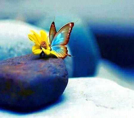 ﮐﺴﯽ ﺳﮯ ﻋﺸﻖ ﮐﺮﻭ ﮔﮯ ﺗﻮ ﺟﺎﻥ ﺟﺎﺅ ﮔﮯ
ﺧﺰﺍﮞ ﻣﯿﮟ ﮐﺮﺗﯽ ہے ﺗﺘلی ﮔﺰﺭ ﺑﺴﺮ ﮐﯿﺴﮯ ۔۔۔