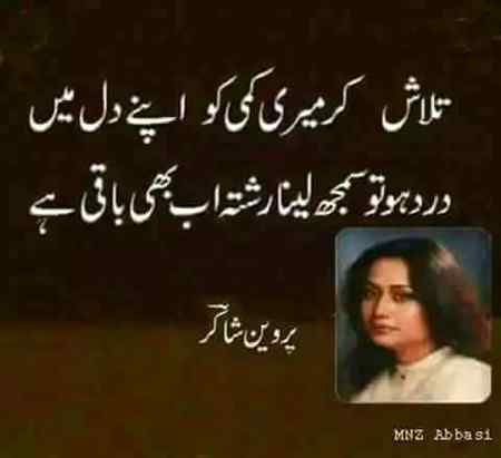 hlo friends
