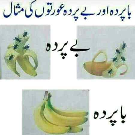 عورت سے علم چھین لیا جائے
 تو جہالت نسلوں میں سفر کرے گی،
اور اگر علم کے نام پر عورت سے پردہ چھین لیا جائے 
تو بے حیائی نسلوں تک سفر کرے گی