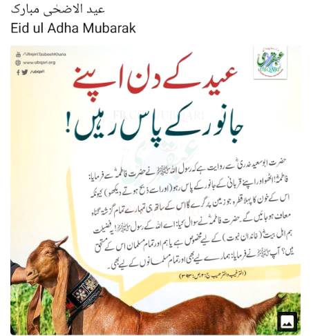 عید کی دن اپنے جانور کے پاس رہیں