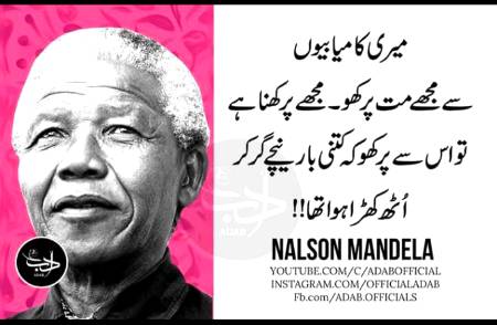 Nice lines🙂