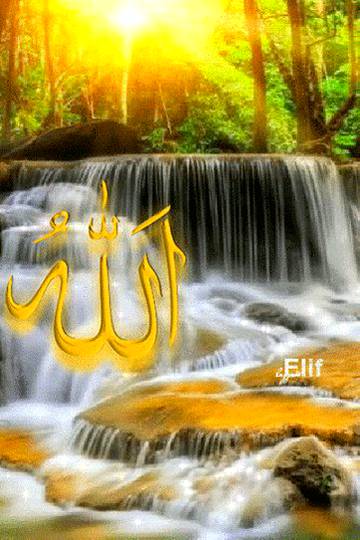 تم کسی بھی انسان🍃 کوبرانہ سمجھو شاید 🍃وہ ویسا💕 نہ ہو جس طرح 💕تم سمجھتےہو، حقیقی علم تو💕اللہ 🍃کےپاس ہے🍃 اورتم تو🍃 لاعلم ہو