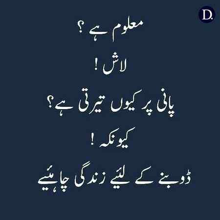 hlo friends