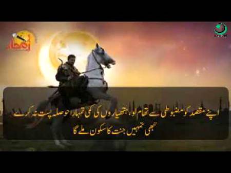 ptv home