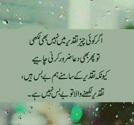 🌹🌹🌹صلی اللہ علی حبیبہ محمد نور من نوراللہ وعلی آلہ واہل بیتہ وعترتہ وازواجہ وصحبہ وجدہ وذریتہ و کل امتہ وبارک وسلم کثیراً کثیرا و دائماً ابدا 🌹🌹🌹
