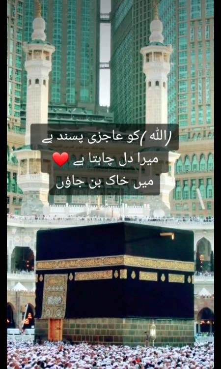 عشق حقیقی کی جستجو ہے ورنہ مجازی کی کوئی مجال نہیں۔