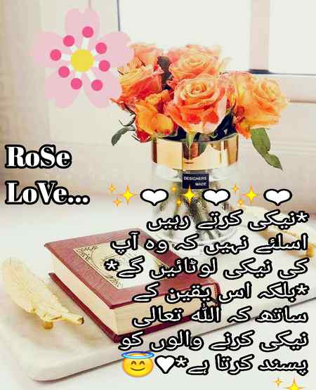🌹💗💕🌹💗💕
🌹💕RoSe💗🌹💕
💗🌹💕💗🌹