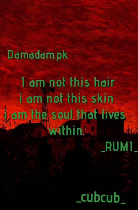 Rumi's words