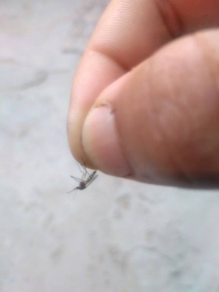 Akhir aj m na chor ko pakr he liya boht dino sy tang kiya tha ap ko b kiya is na tang kiya h kiya🤭