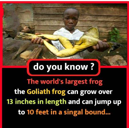 Did you know