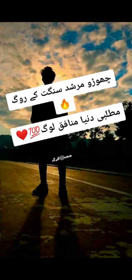 Munafiq log✌✌