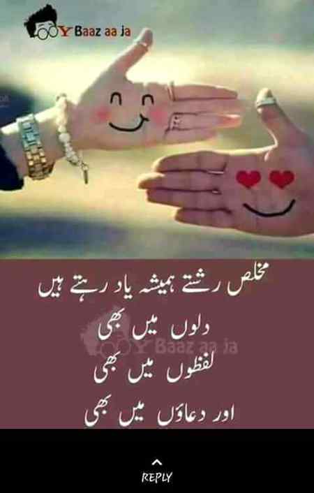 Its true fans