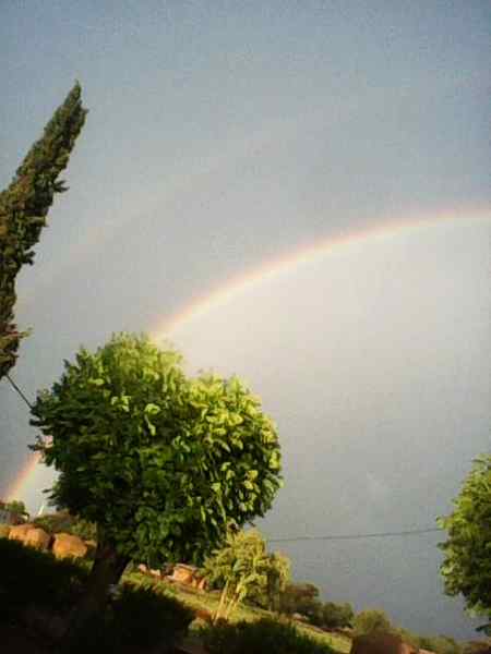 😍My village view after rain😍
Anum Malik 🤗😇