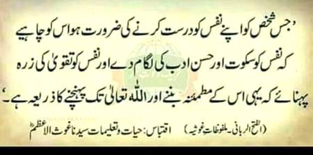 🌹🌹🌹صلی اللہ علی حبیبہ محمد نور من نوراللہ وعلی آلہ واہل بیتہ وعترتہ وازواجہ وصحبہ وجدہ وذریتہ و کل امتہ وبارک وسلم کثیراً کثیرا و دائماً ابدا 🌹🌹🌹