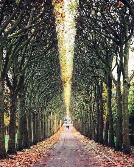 Amazing views France