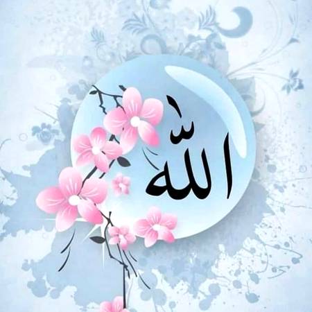 *انسان کی زندگی بھی پودوں جیسی ہوتی ہے کچھ کو پانی دینے کے لئے ﷲ تعالٰی کسی کو راہ دکھاتا ہے اور کچھ کو جنگل کے پودوں کی طرح خود سنبھالتا ہے...!!!*