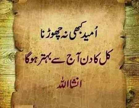 Sending by fareed ahmed shaikh