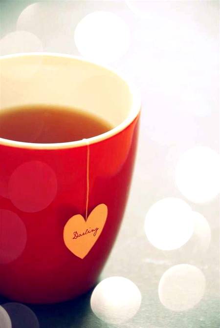 Morning ☀️🌻🌄