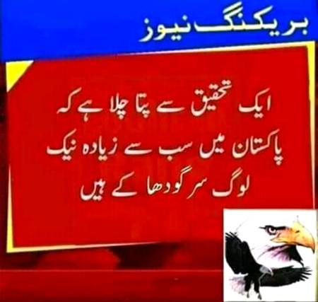 Main Sargodha sy hun or
Ap kahan. Sy Ho?
