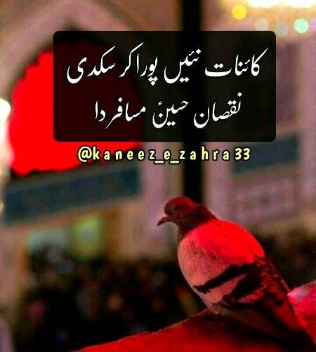 ~`|•√°∆°√•|`~